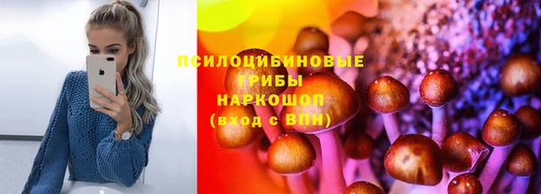 2c-b Богородицк