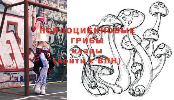 2c-b Богородицк