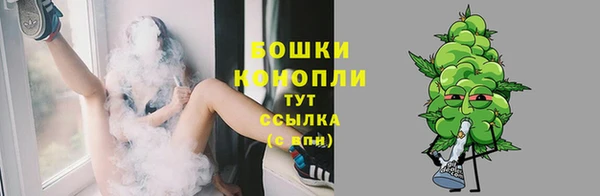 дживик Богданович