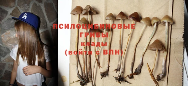 2c-b Богородицк