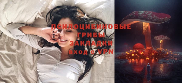 дживик Богданович