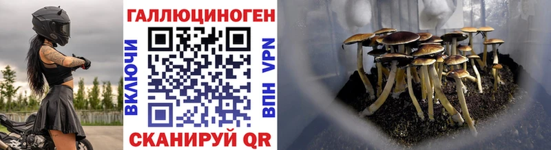 Купить  Светогорск  Псилоцибиновые грибы Magic Shrooms 