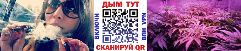 Купить закладки Светогорск МАРИХУАНА Bruce Banner